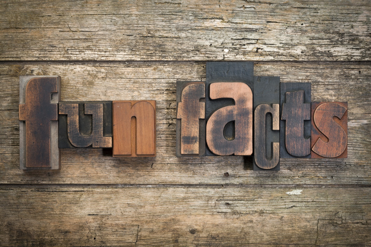 fun facts" written with vintage letterpress printing blocks on rustic wood